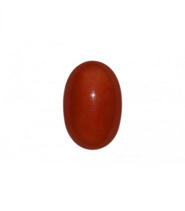 Natural Coral Oval